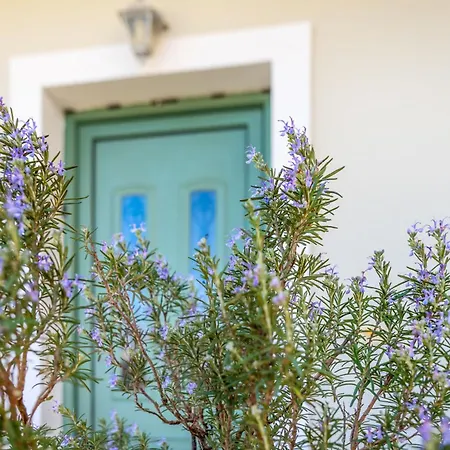 Jokos House Dom wakacyjny